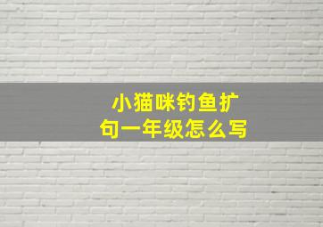 小猫咪钓鱼扩句一年级怎么写