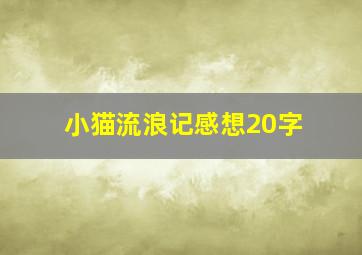 小猫流浪记感想20字