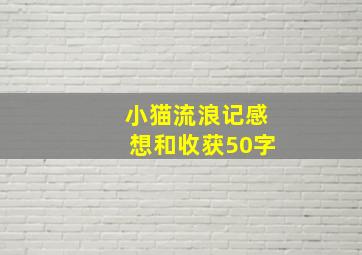 小猫流浪记感想和收获50字