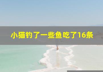 小猫钓了一些鱼吃了16条