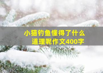 小猫钓鱼懂得了什么道理呢作文400字