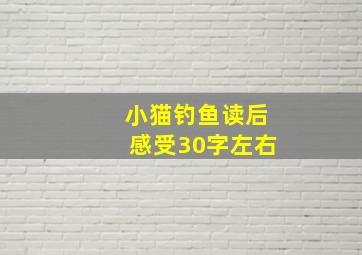 小猫钓鱼读后感受30字左右