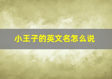 小王子的英文名怎么说