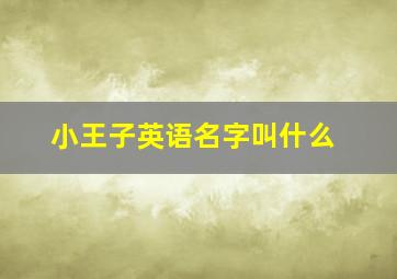 小王子英语名字叫什么