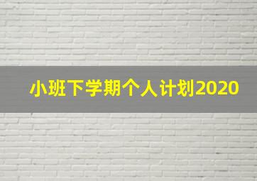 小班下学期个人计划2020