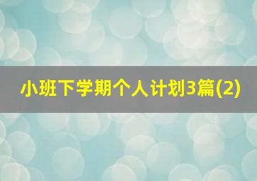 小班下学期个人计划3篇(2)