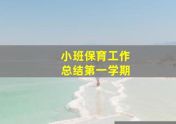 小班保育工作总结第一学期