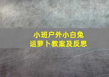 小班户外小白兔运萝卜教案及反思