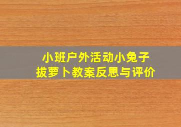 小班户外活动小兔子拔萝卜教案反思与评价