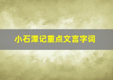 小石潭记重点文言字词