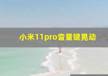 小米11pro音量键晃动