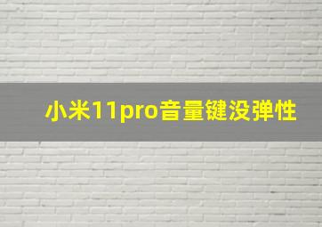 小米11pro音量键没弹性