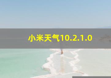 小米天气10.2.1.0