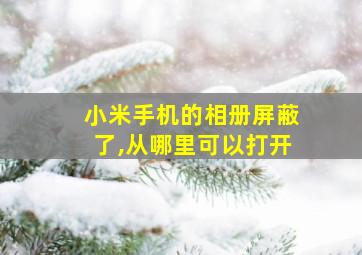 小米手机的相册屏蔽了,从哪里可以打开