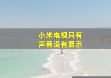 小米电视只有声音没有显示