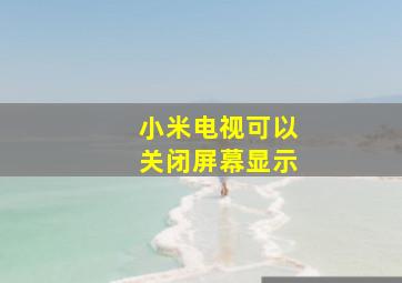 小米电视可以关闭屏幕显示