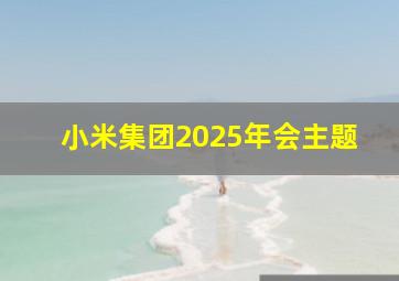 小米集团2025年会主题