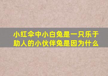 小红伞中小白兔是一只乐于助人的小伙伴兔是因为什么