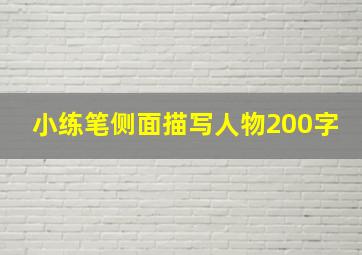 小练笔侧面描写人物200字