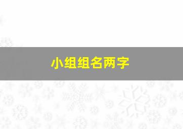 小组组名两字