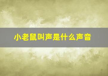 小老鼠叫声是什么声音