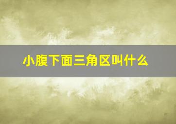 小腹下面三角区叫什么