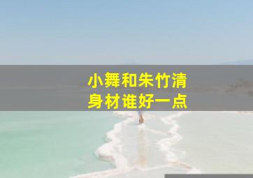 小舞和朱竹清身材谁好一点