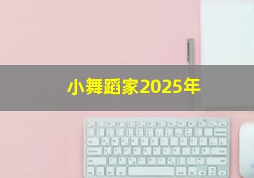 小舞蹈家2025年