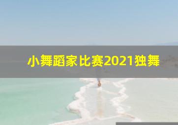 小舞蹈家比赛2021独舞