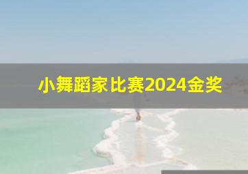 小舞蹈家比赛2024金奖