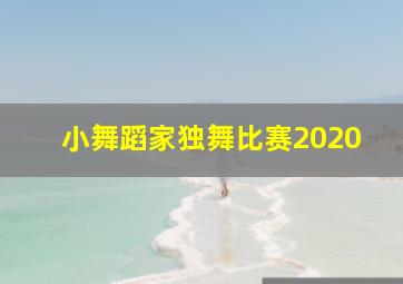 小舞蹈家独舞比赛2020