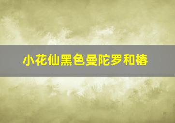 小花仙黑色曼陀罗和椿