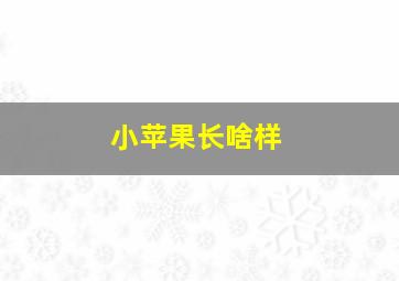 小苹果长啥样