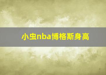 小虫nba博格斯身高