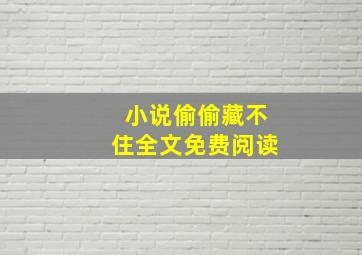 小说偷偷藏不住全文免费阅读