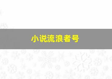 小说流浪者号