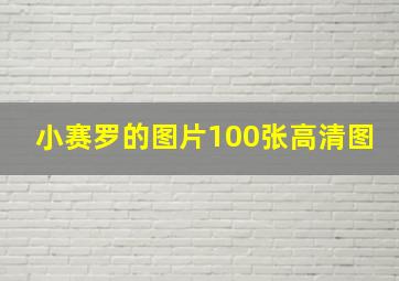 小赛罗的图片100张高清图