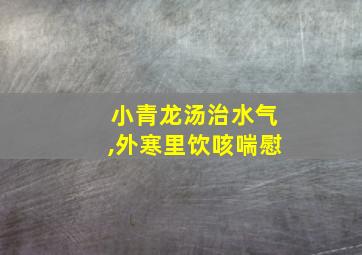 小青龙汤治水气,外寒里饮咳喘慰