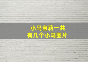 小马宝莉一共有几个小马图片