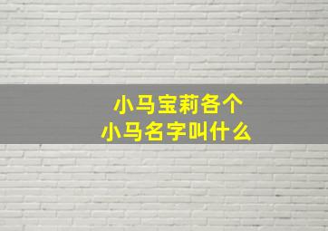 小马宝莉各个小马名字叫什么