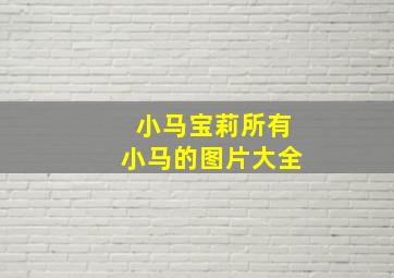 小马宝莉所有小马的图片大全