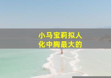 小马宝莉拟人化中胸最大的