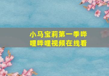 小马宝莉第一季哔哩哔哩视频在线看