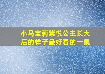 小马宝莉紫悦公主长大后的样子最好看的一集