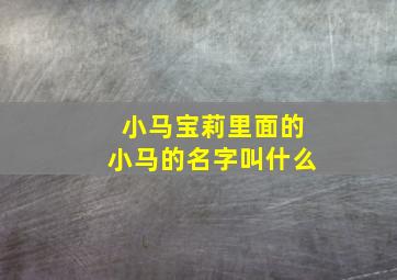 小马宝莉里面的小马的名字叫什么