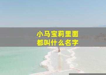 小马宝莉里面都叫什么名字