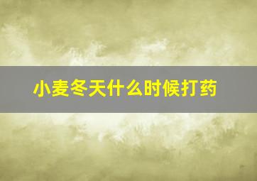 小麦冬天什么时候打药