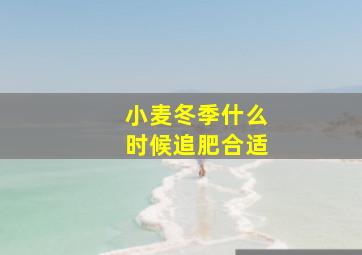 小麦冬季什么时候追肥合适