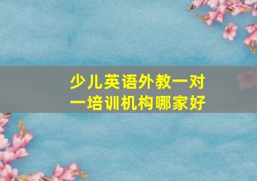 少儿英语外教一对一培训机构哪家好