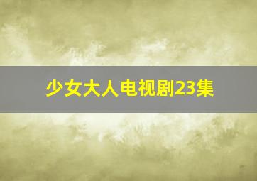 少女大人电视剧23集